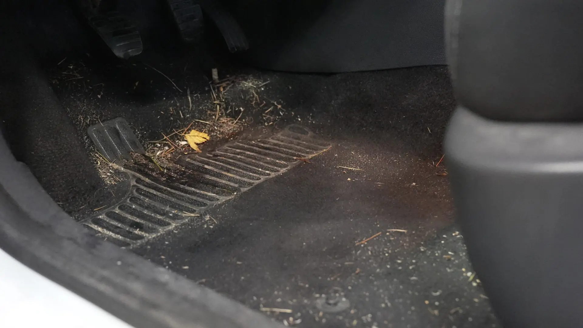 Intérieur Renault Clio IV avant nettoyage Alion Detailing